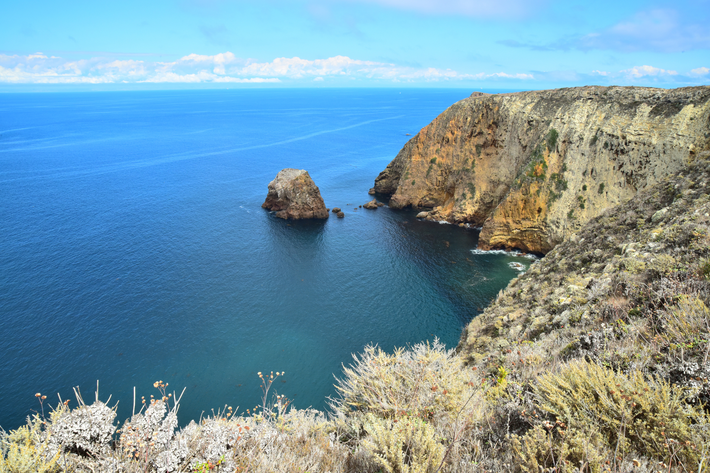 santa cruz island 02.webp